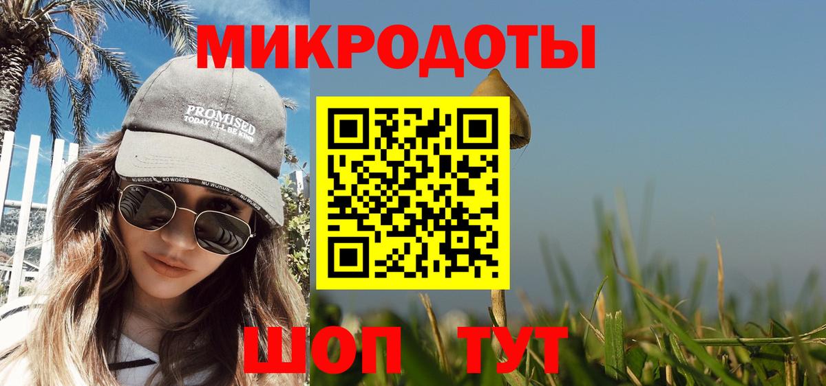 Галлюциногенные грибы Psilocybe Нурлат